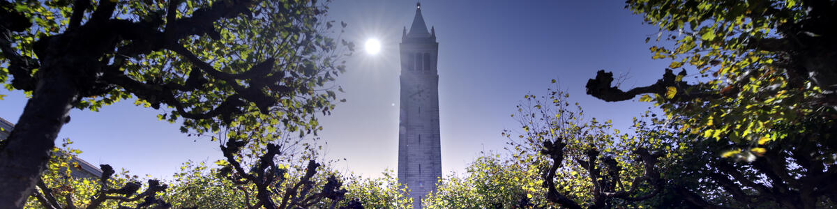 Decorative image of the Campanile and the sun and some trees