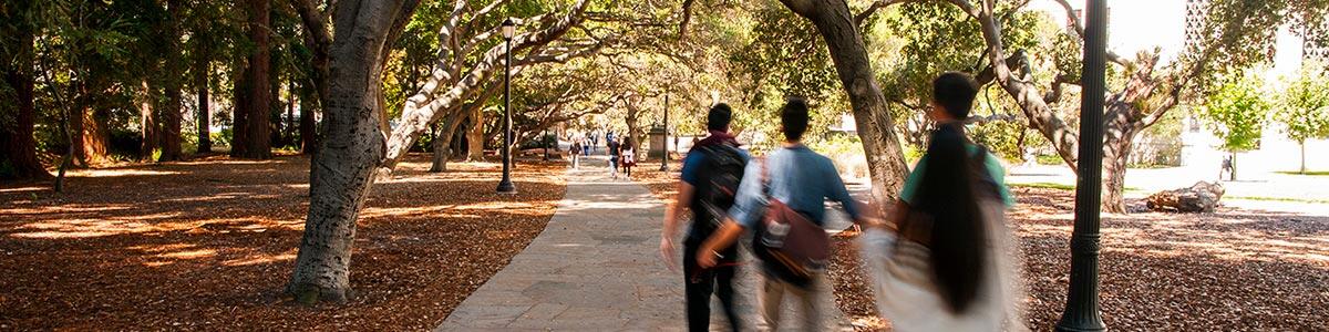 People walking through the campus paths.