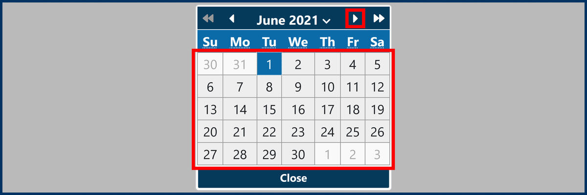 Screenshot of the Travel Information section and travel dates Calendar